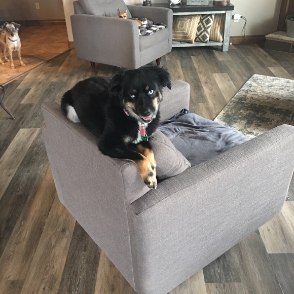 Meet your Posher, Kyle - Picture 1 of 1